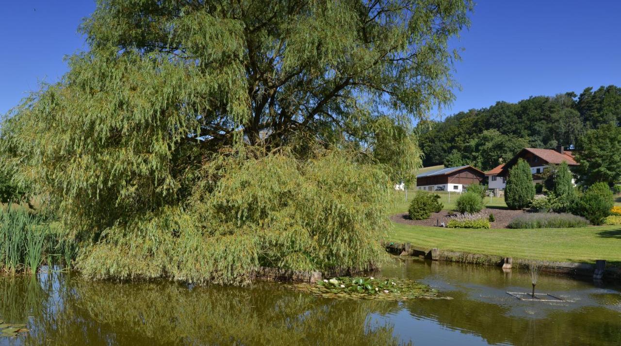 Gaestehaus Wildgehege Wilhelm Buitenkant foto